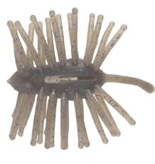 CTハリネズミECO