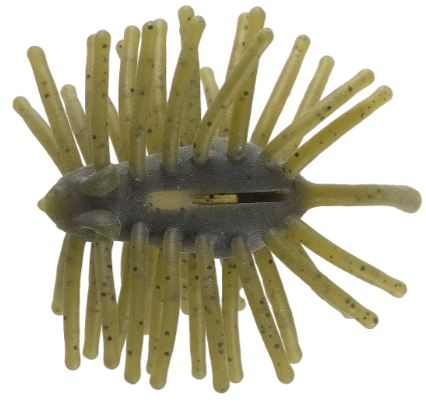 CTハリネズミECO